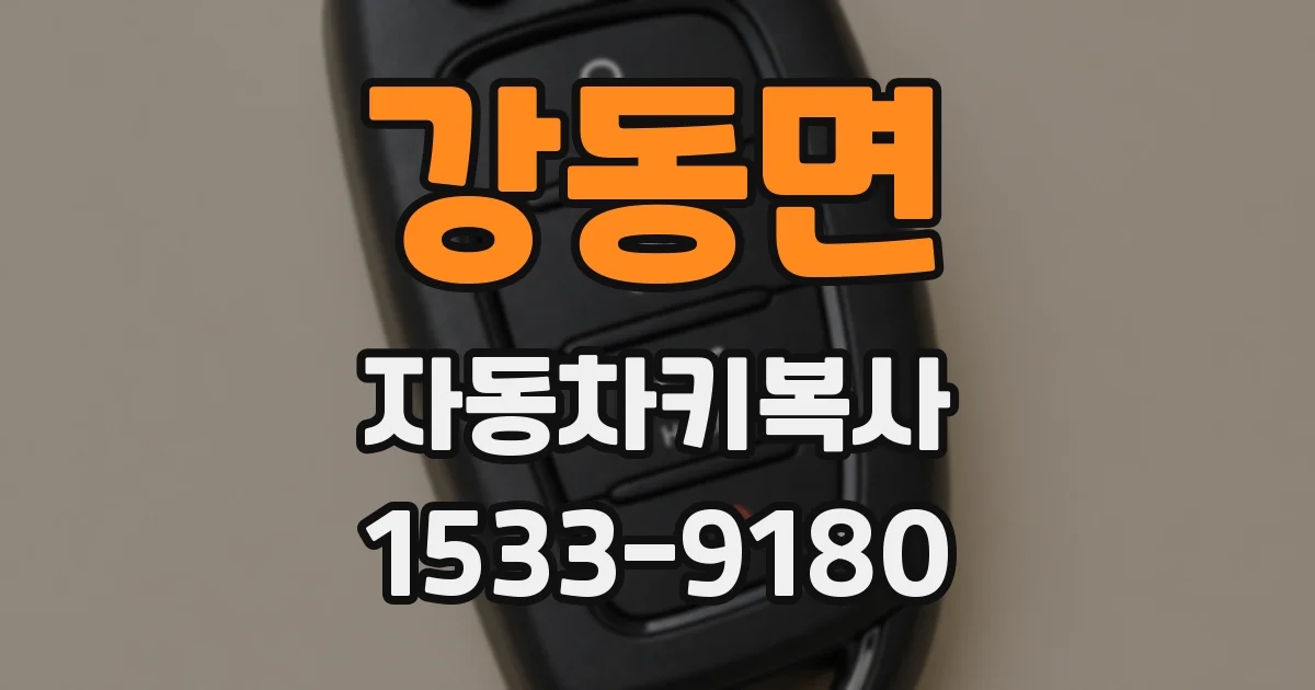 강동면 자동차키복사
