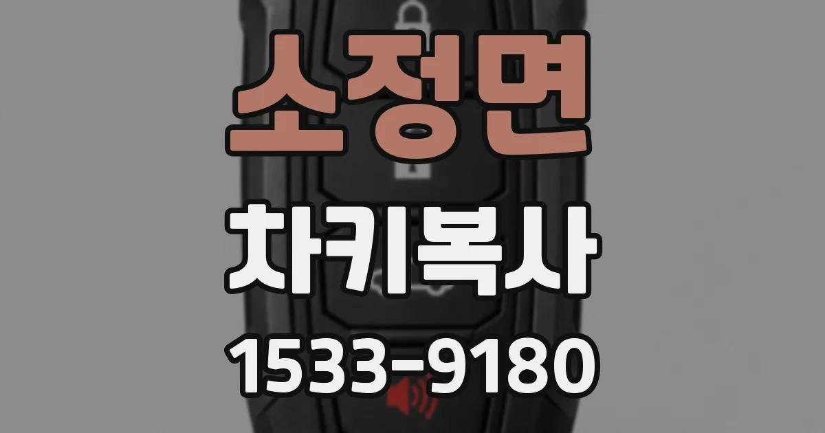 소정면 차키복사