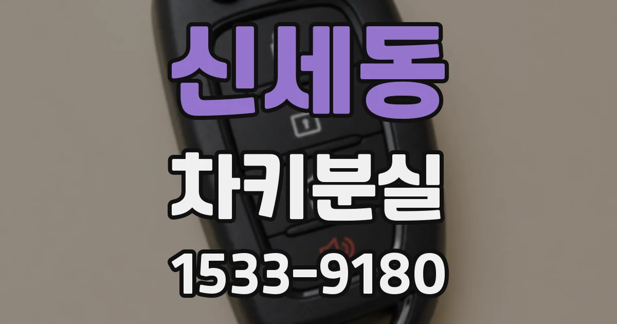 신세동 차키분실