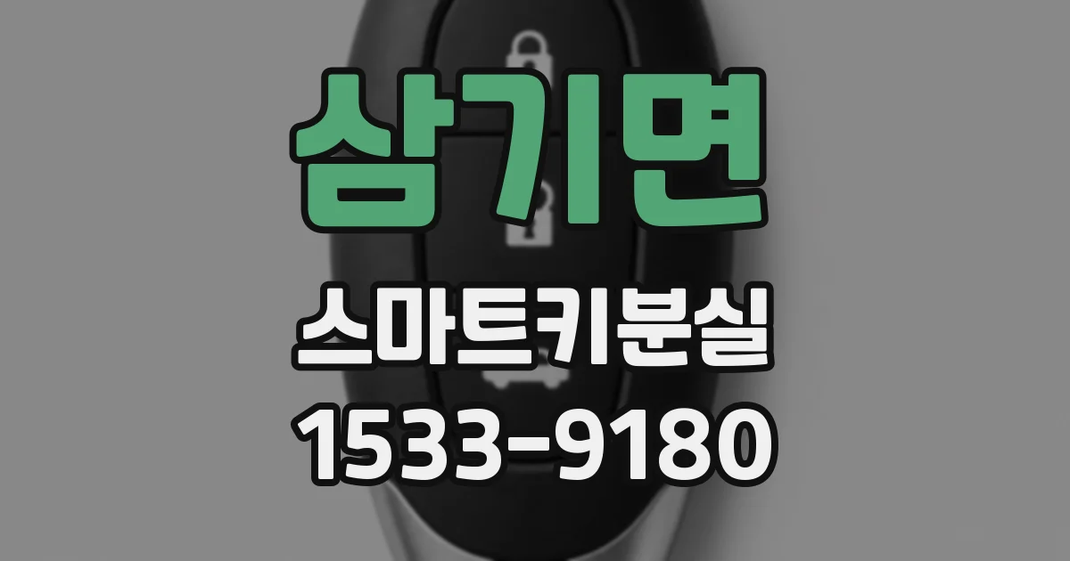 삼기면 스마트키분실