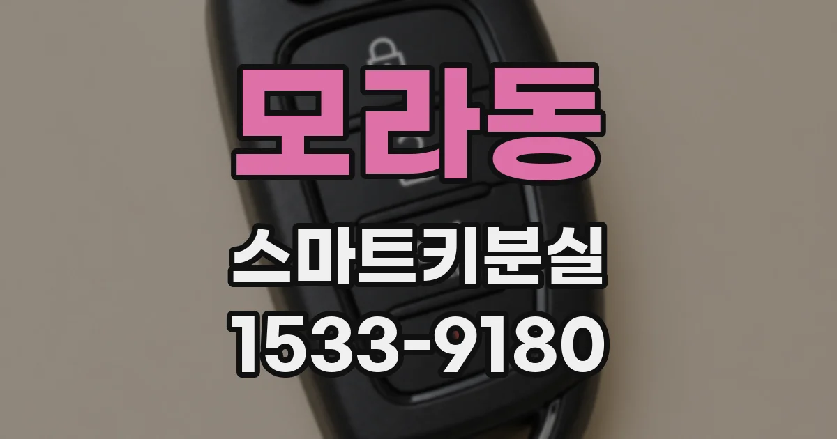 모라동 스마트키분실