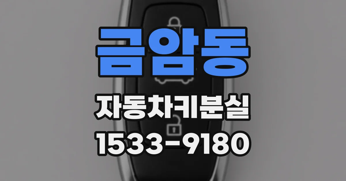 금암동 자동차키분실