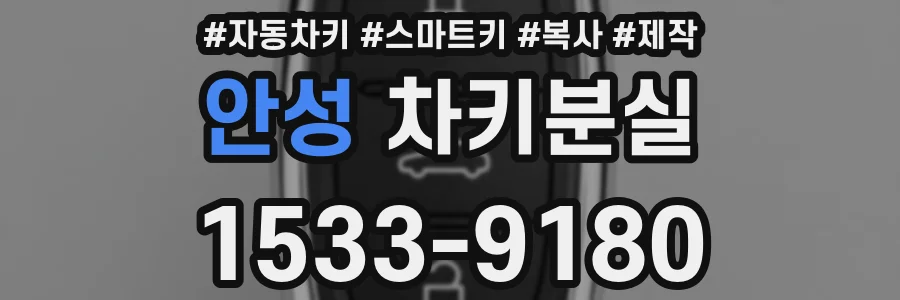 안성 차키분실