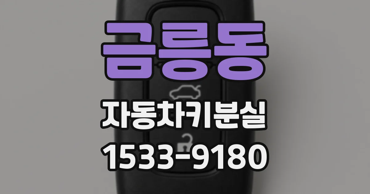 금릉동 자동차키분실