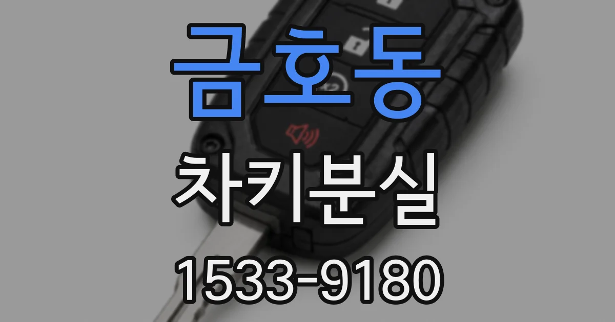 금호동 차키분실