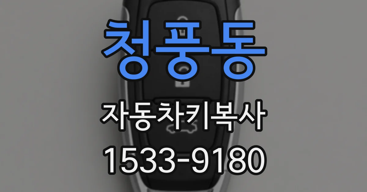 청풍동 자동차키복사