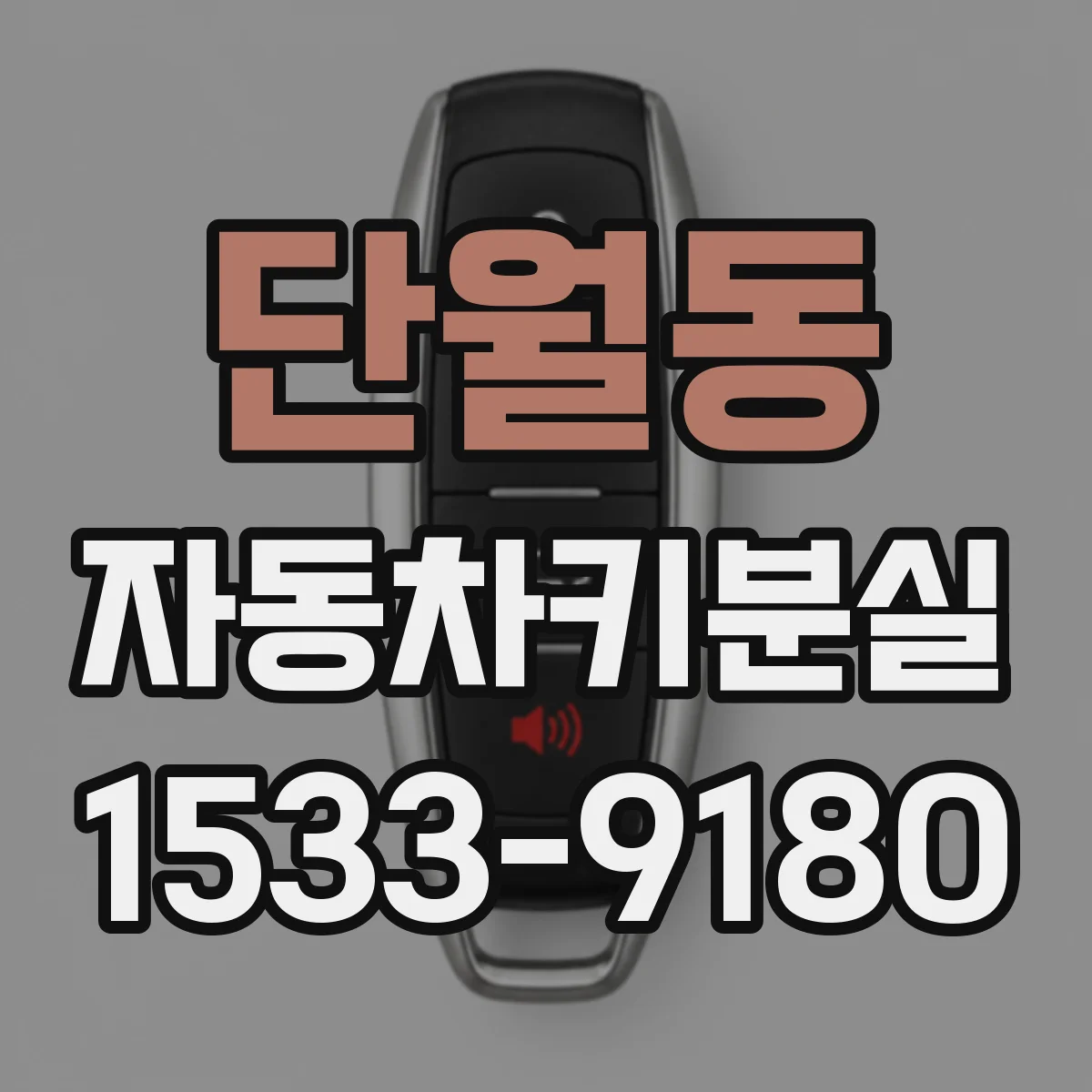 단월동 자동차키분실