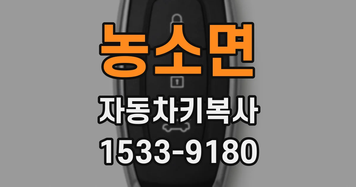 농소면 자동차키복사