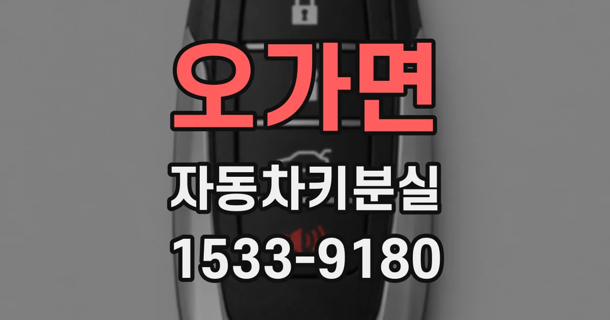 오가면 자동차키분실