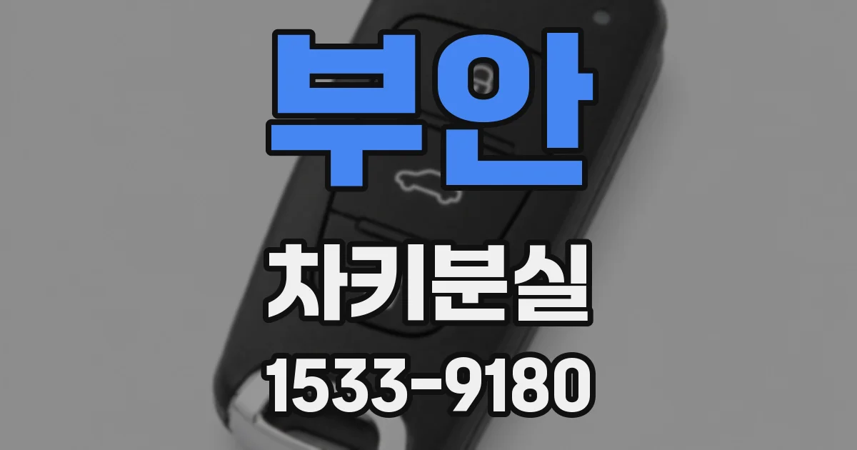 부안 차키분실