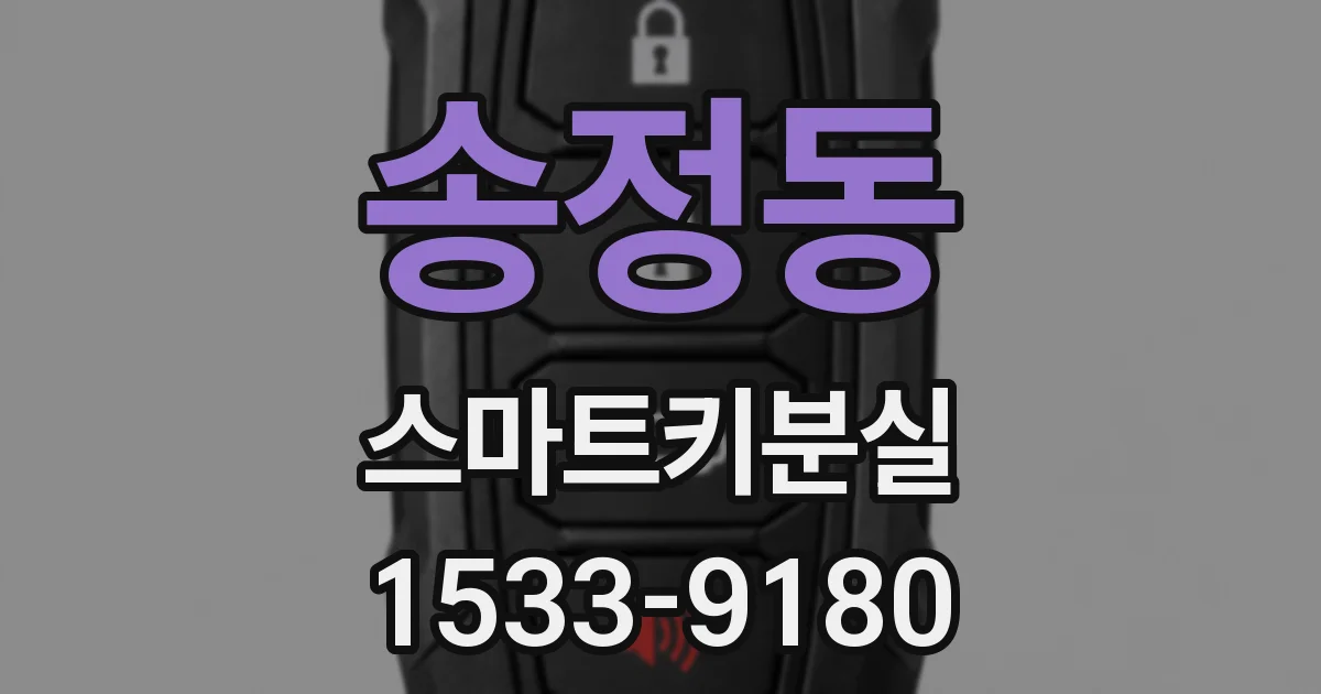 송정동 스마트키분실