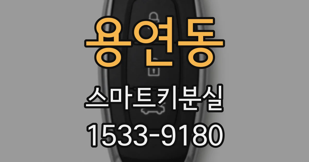 용연동 스마트키분실