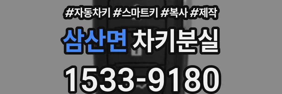 삼산면 차키분실