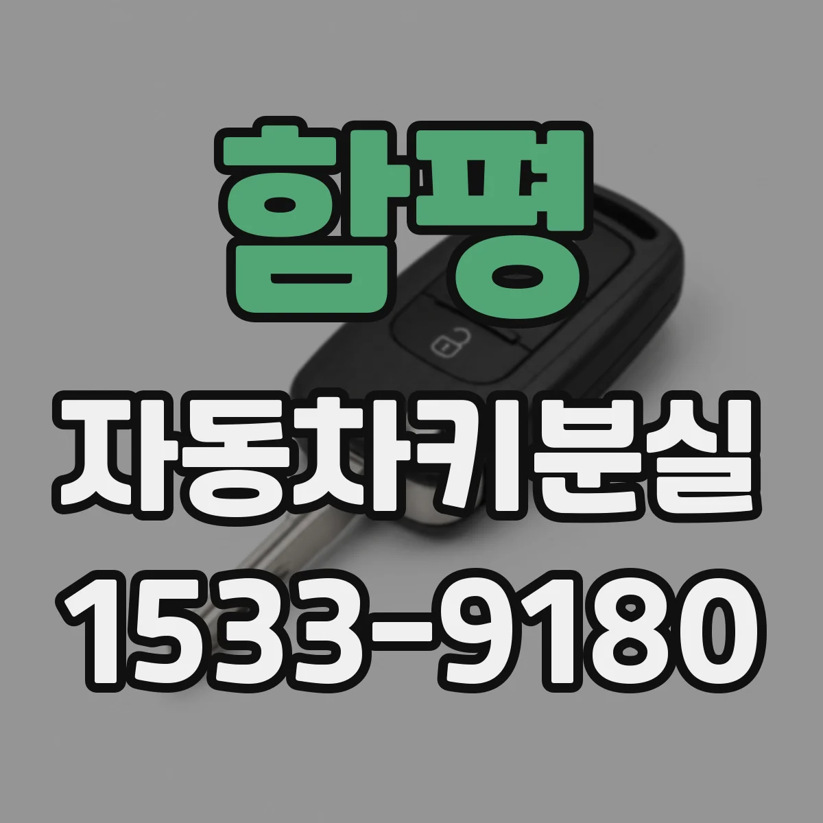 함평 자동차키분실