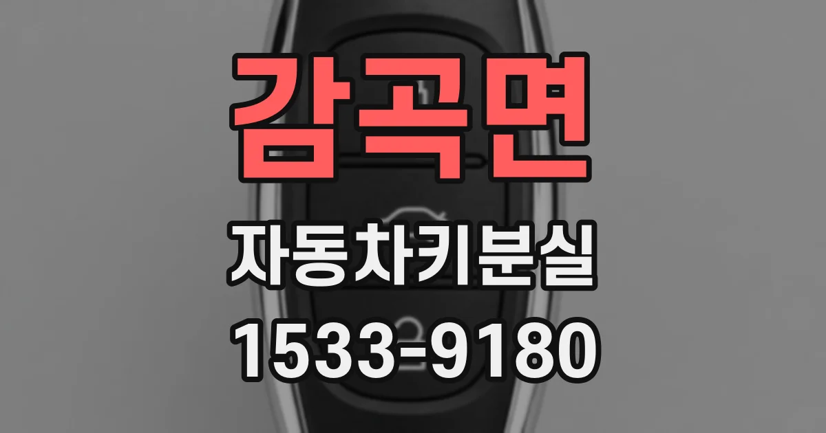 감곡면 자동차키분실
