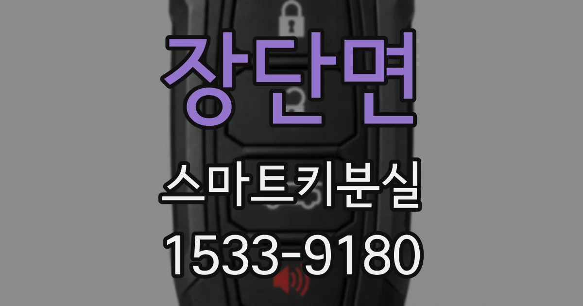 장단면 스마트키분실