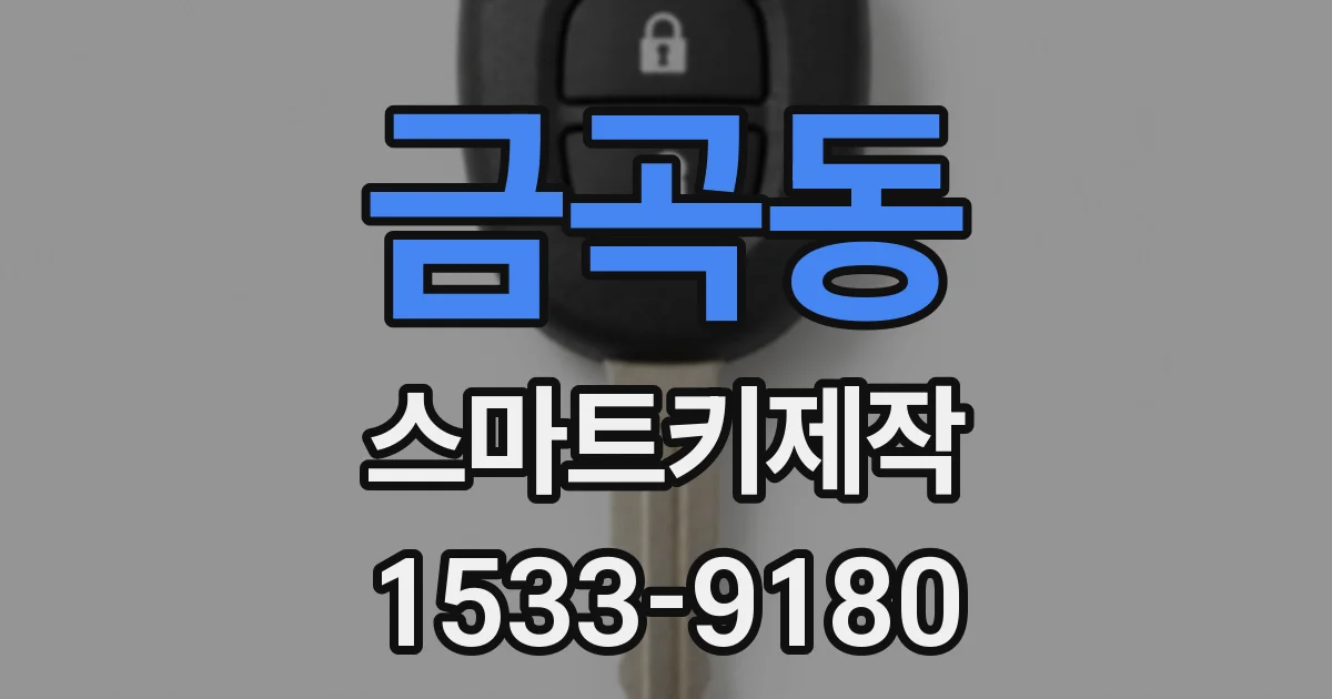 금곡동 스마트키제작