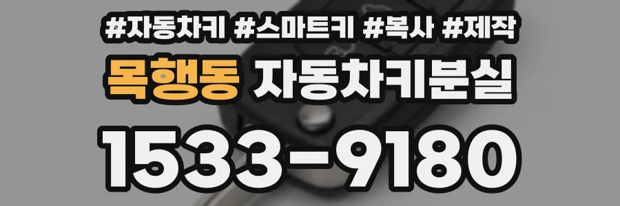 목행동 자동차키분실