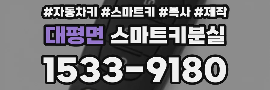 대평면 스마트키분실