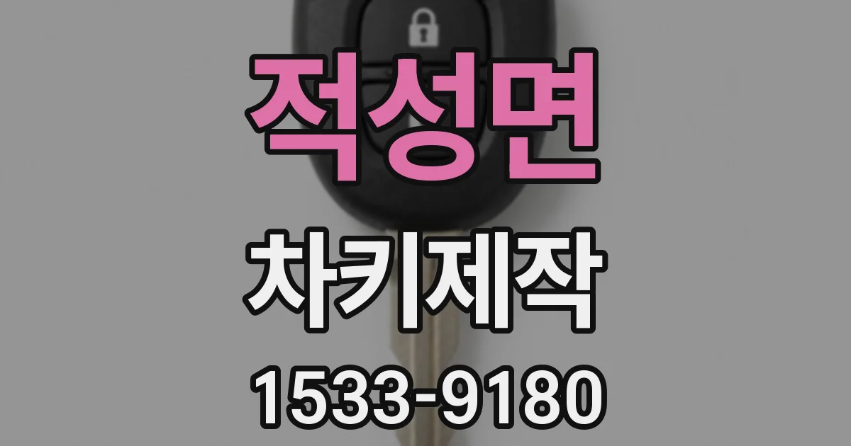적성면 차키제작