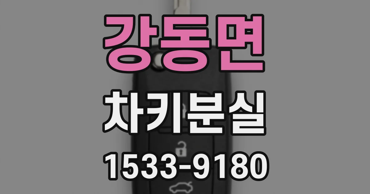 강동면 차키분실