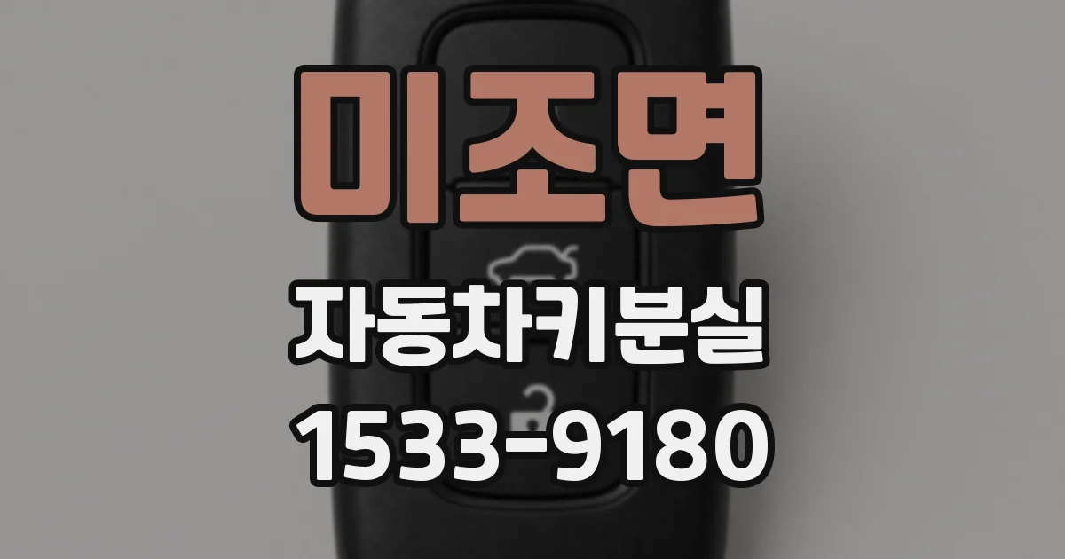미조면 자동차키분실