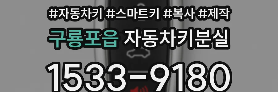 구룡포읍 자동차키분실