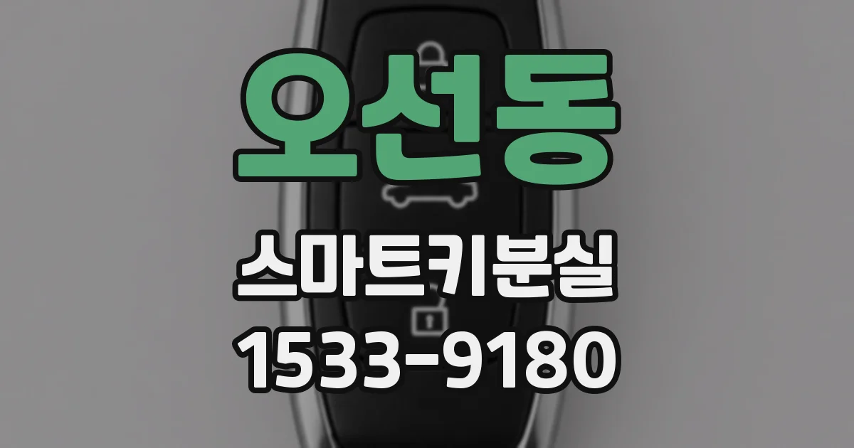 오선동 스마트키분실