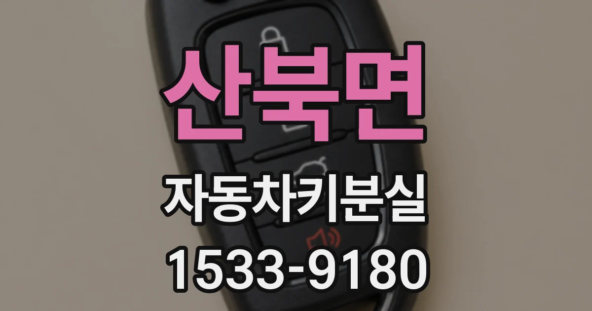 산북면 자동차키분실
