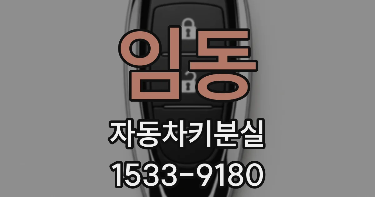 임동 자동차키분실
