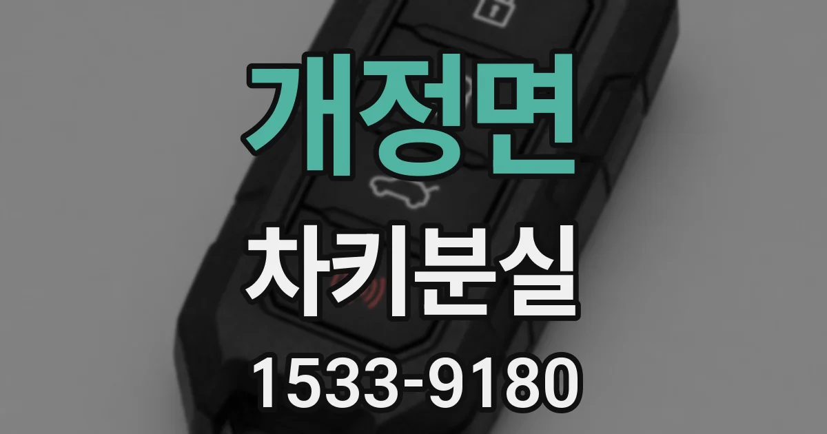 개정면 차키분실