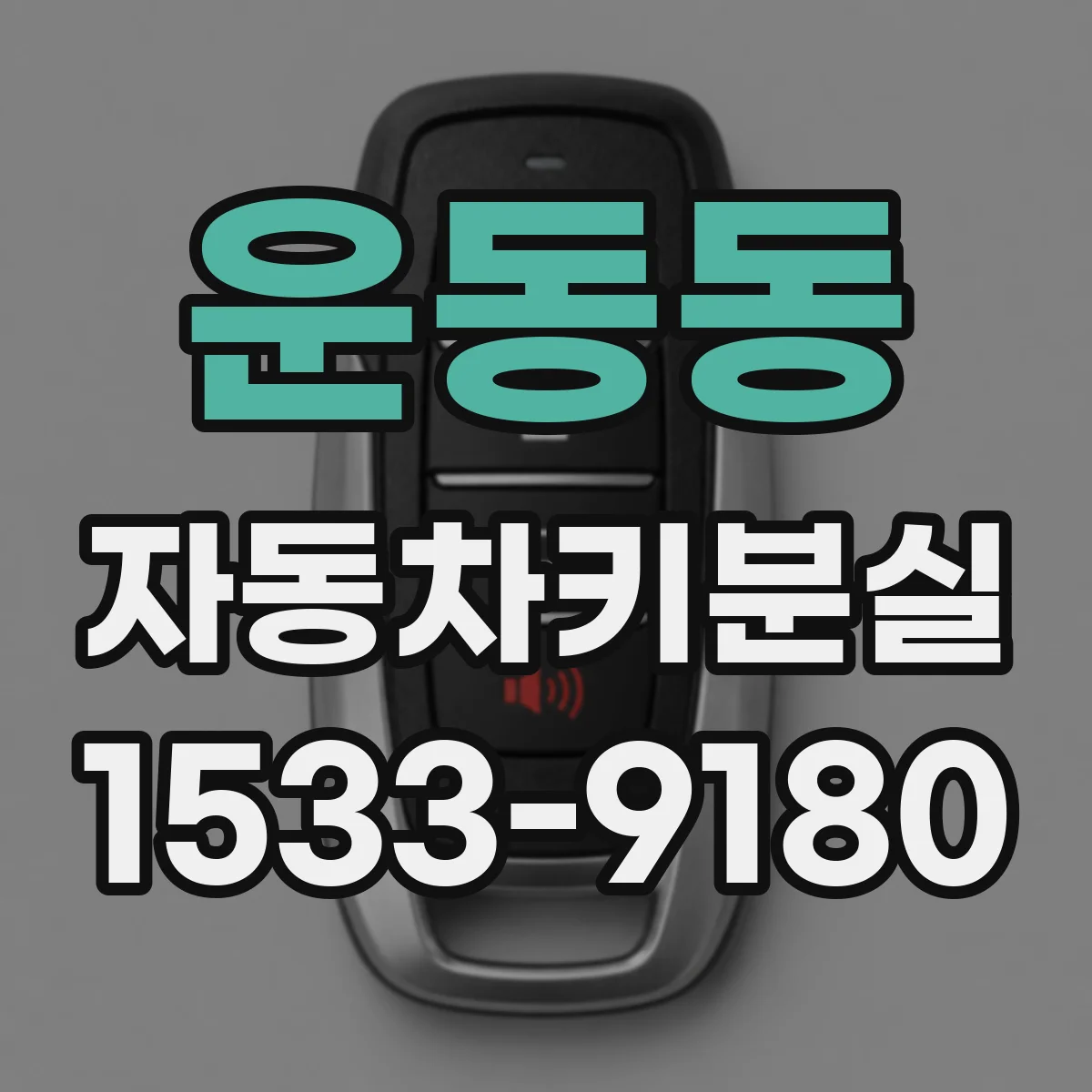 운동동 자동차키분실