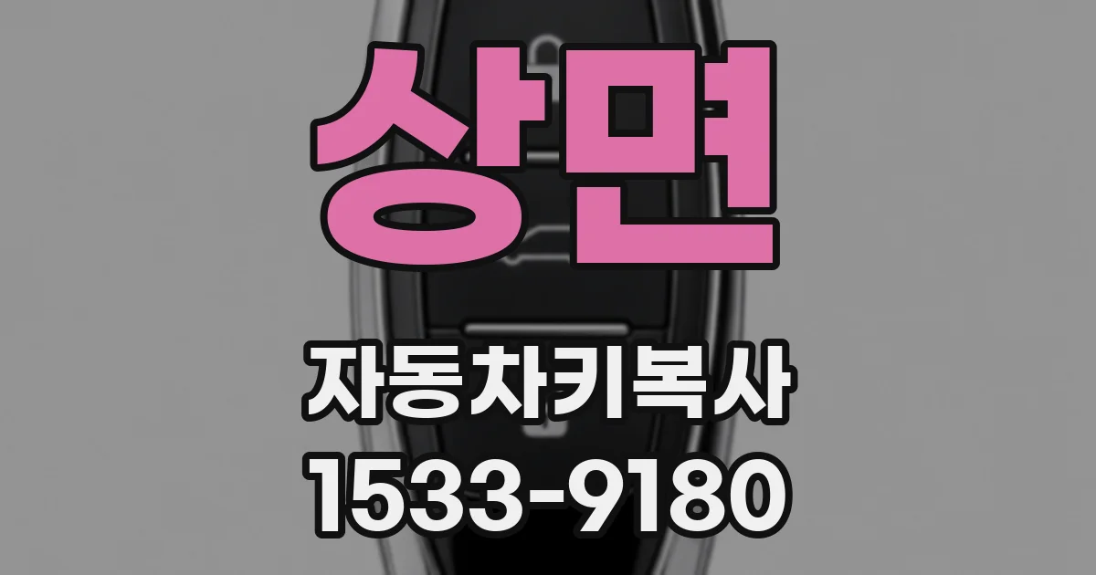 상면 자동차키복사