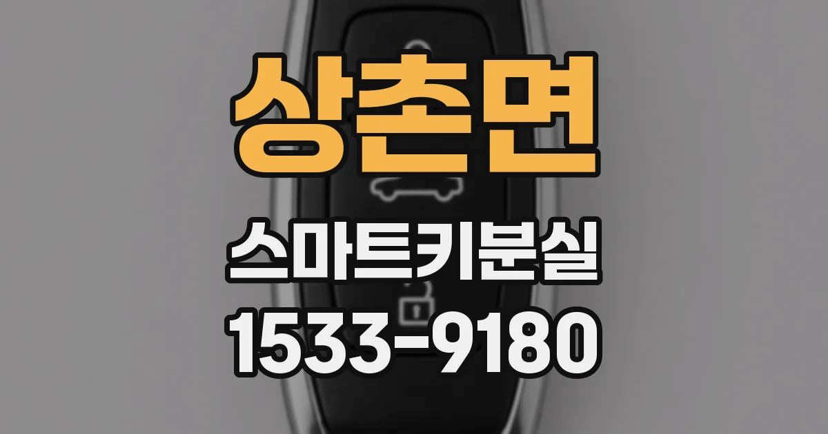 상촌면 스마트키분실