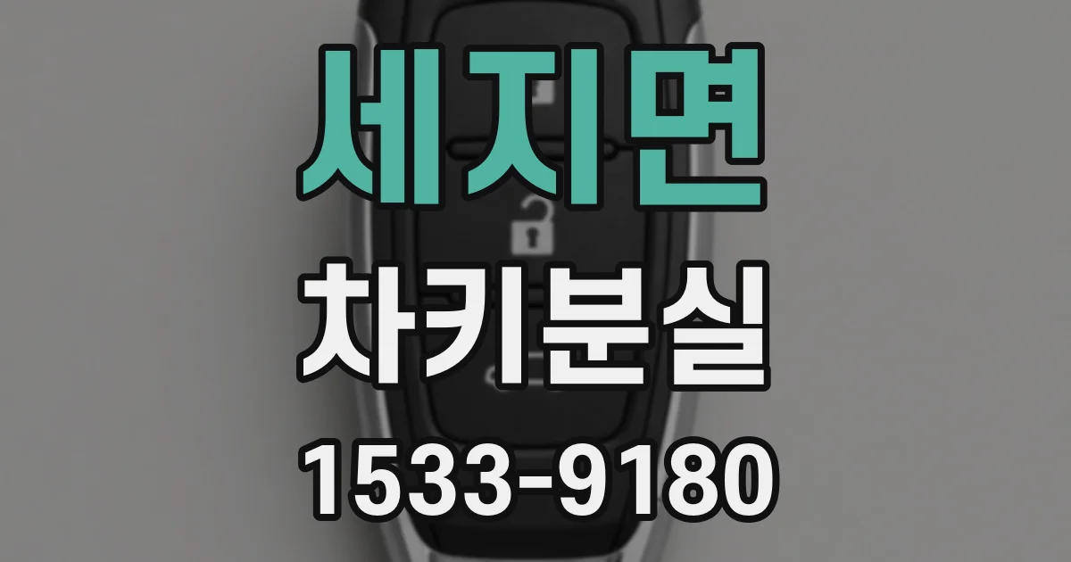 세지면 차키분실