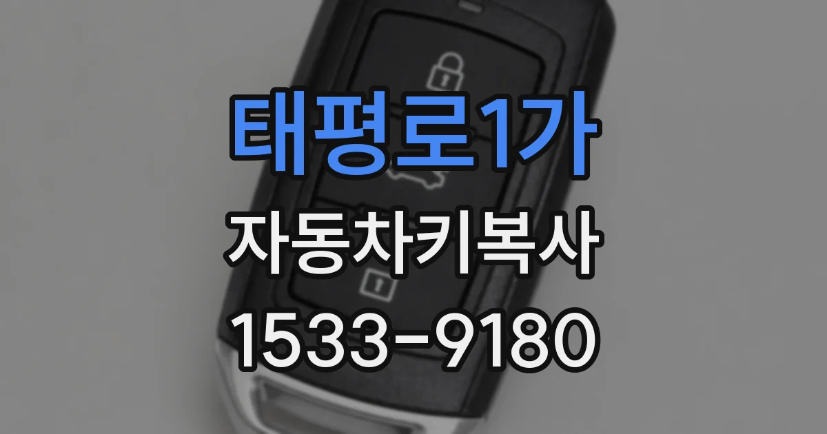 태평로1가 자동차키복사