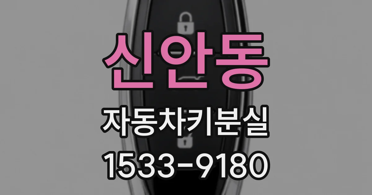 신안동 자동차키분실
