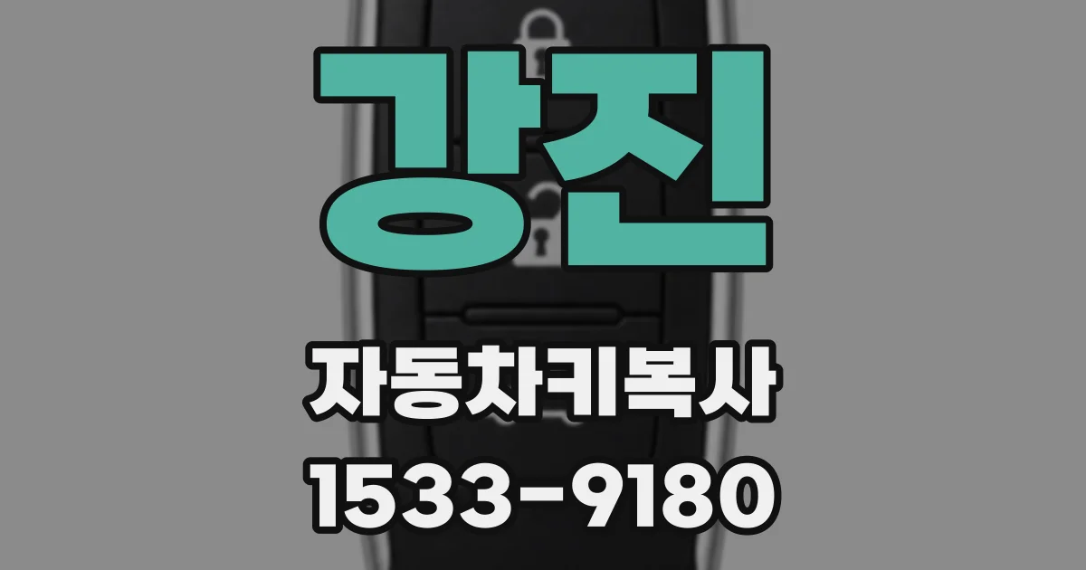 강진 자동차키복사