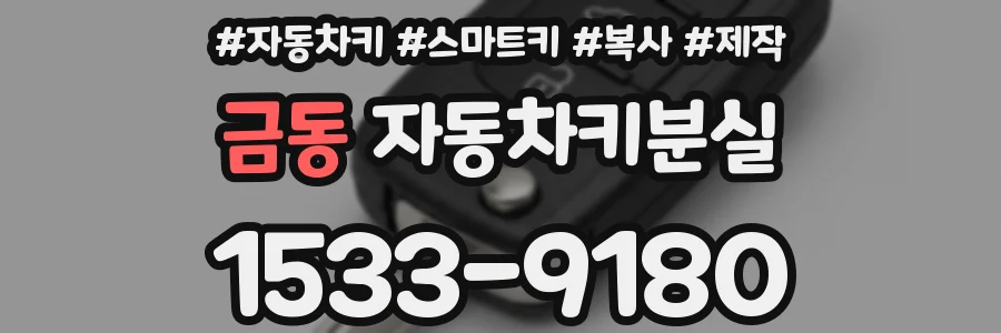 금동 자동차키분실