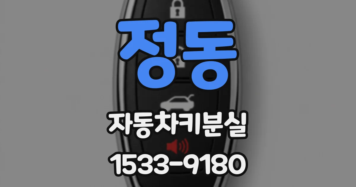 정동 자동차키분실