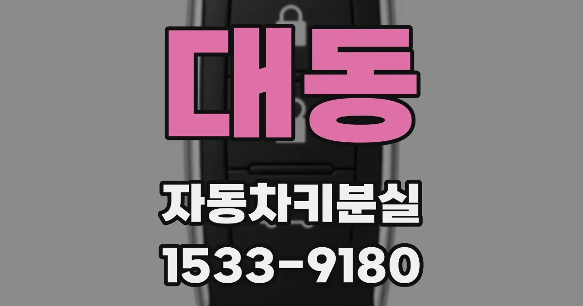 대동 자동차키분실
