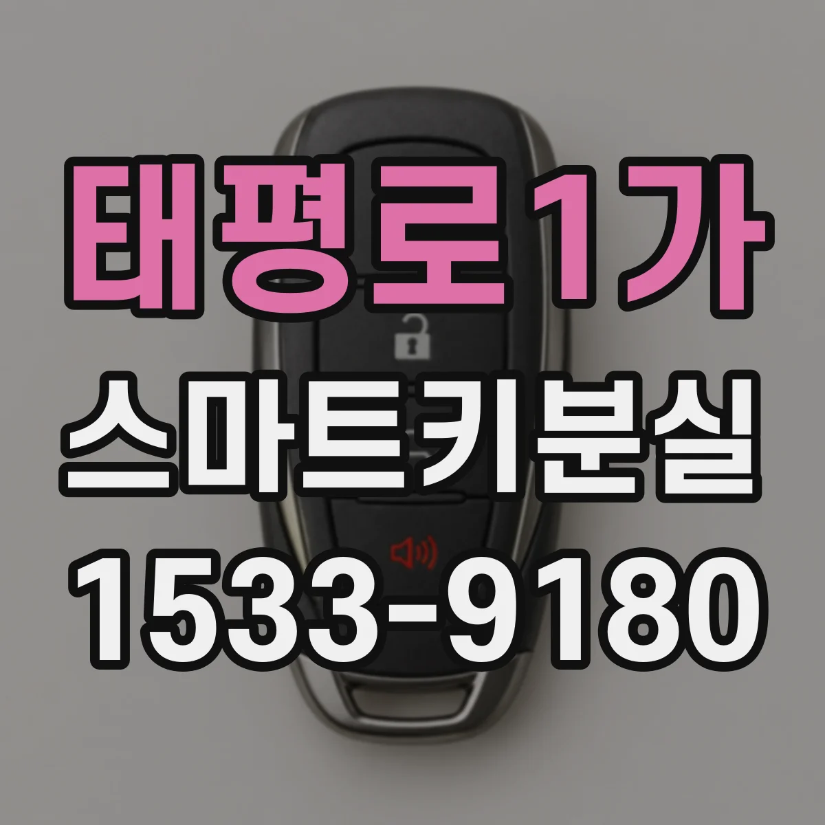 태평로1가 스마트키분실