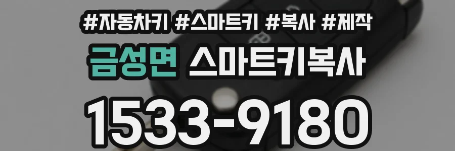 금성면 스마트키복사