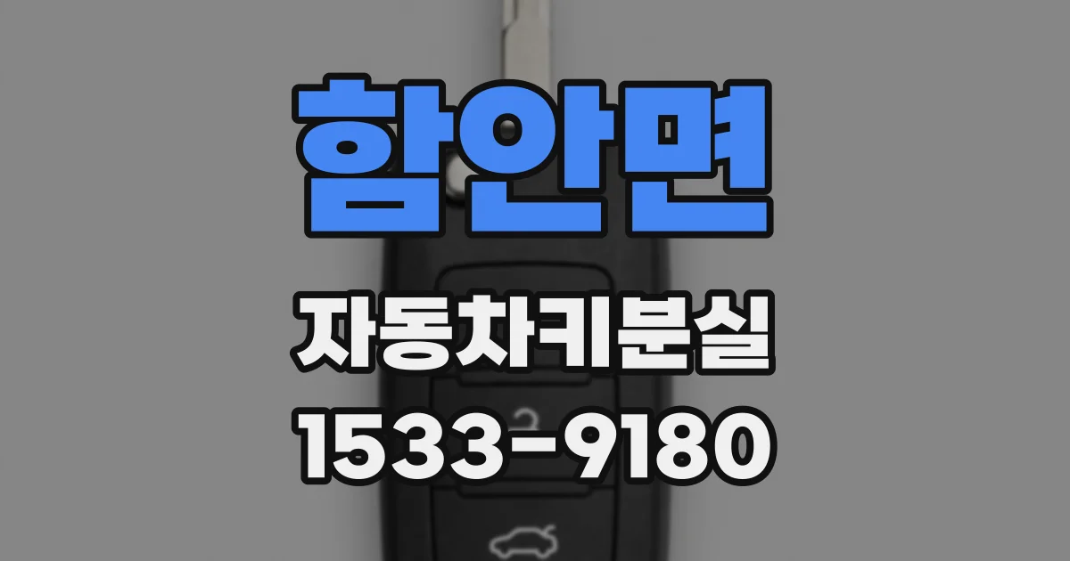 함안면 자동차키분실