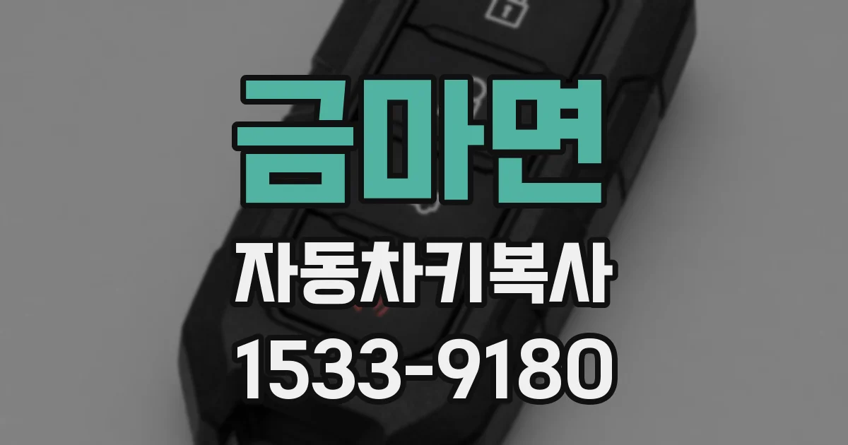 금마면 자동차키복사