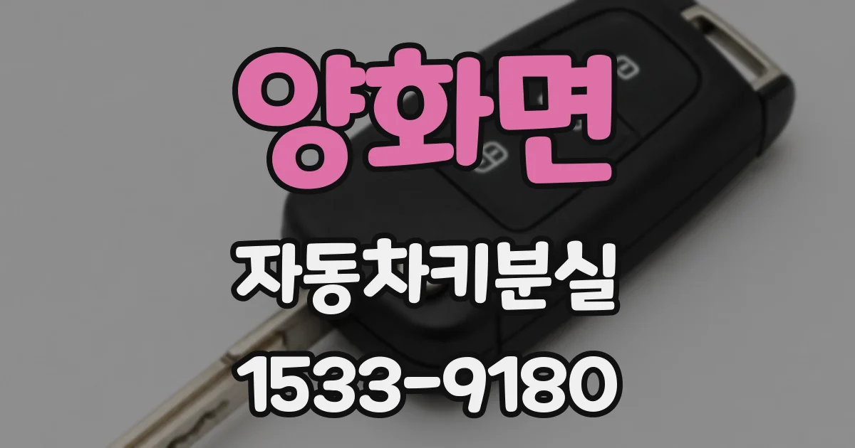 양화면 자동차키분실
