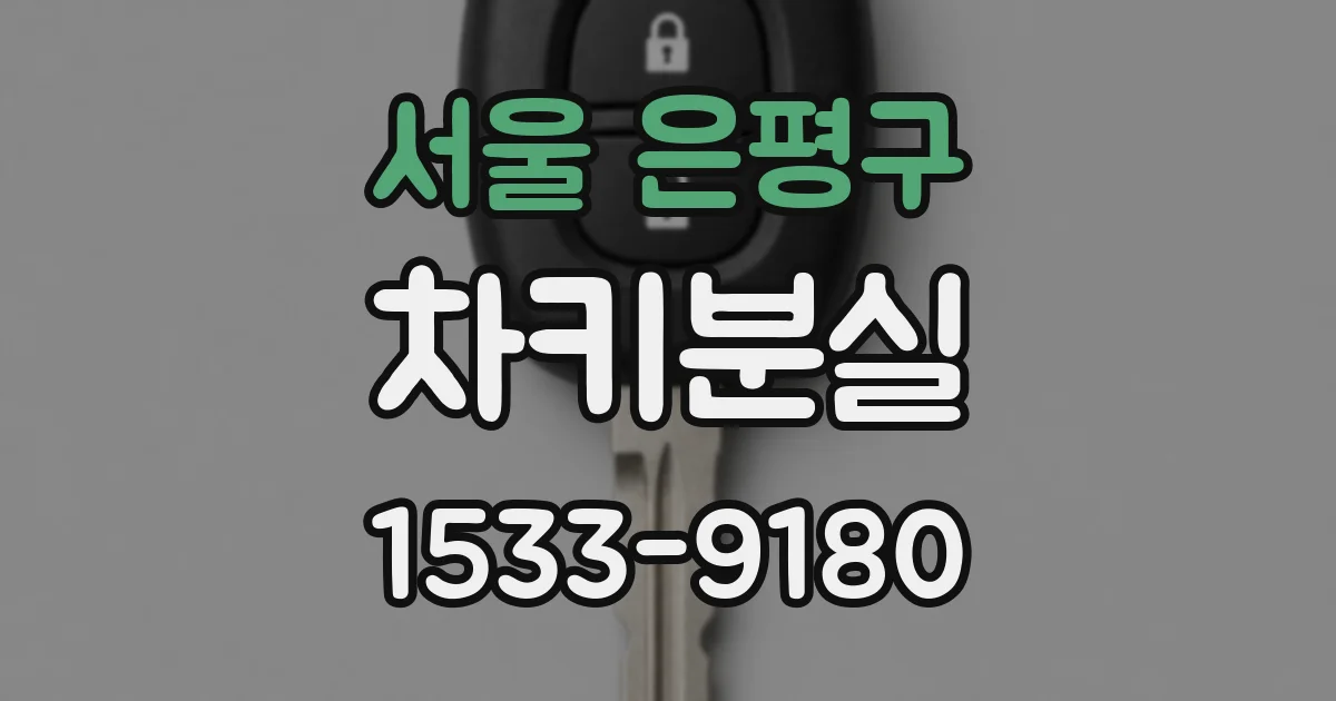 서울 은평구 차키분실