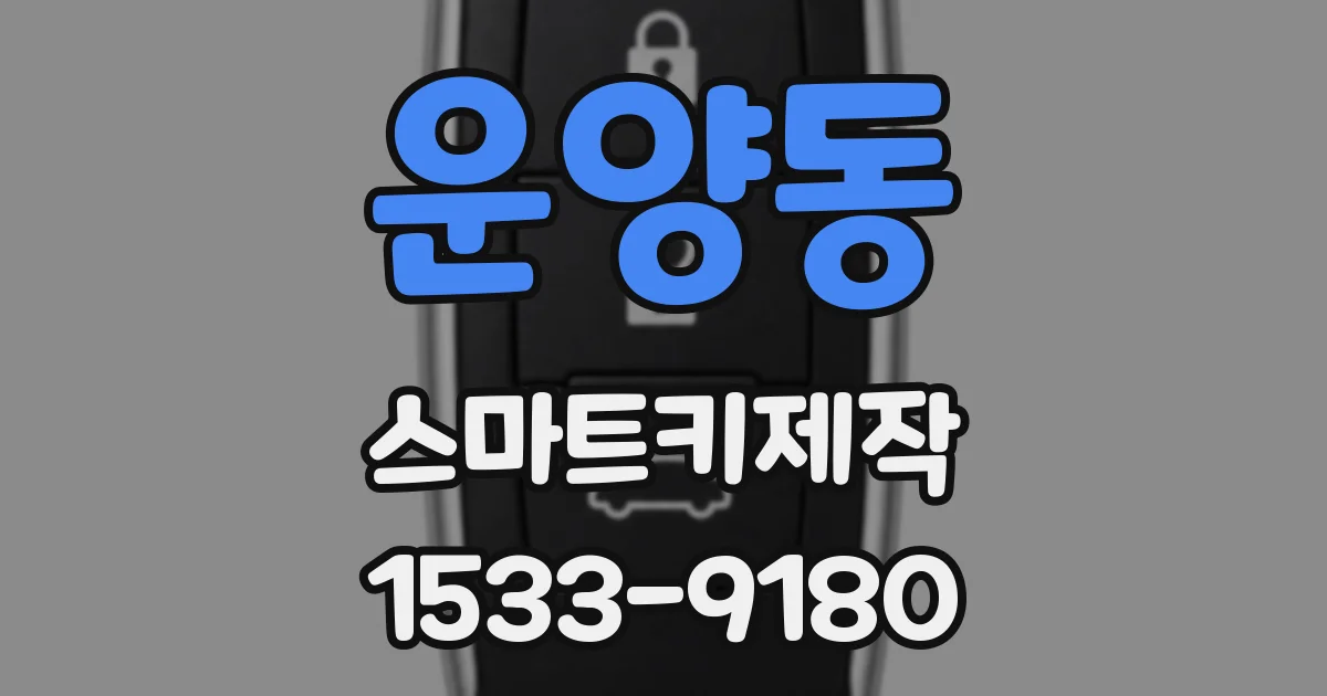 운양동 스마트키제작