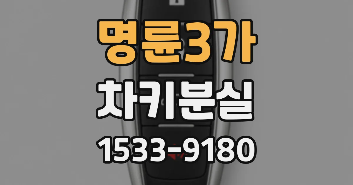 명륜3가 차키분실