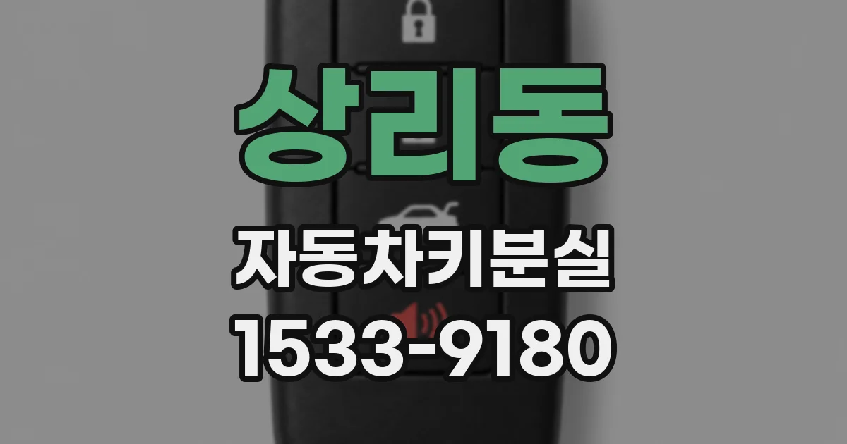 상리동 자동차키분실